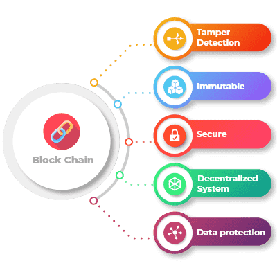 Hire Blockchain Developer